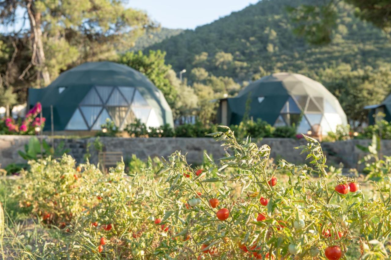 Отель Lusso Glamping Бодрум Экстерьер фото